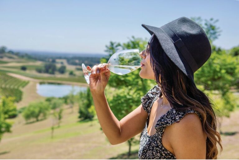 Sydney: Hunter Valley Wineries Day Trip With Food Tastings