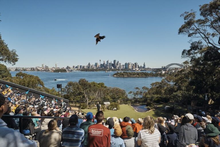 Sydney: Taronga Zoo & 24 or 48hr Sydney Harbour Hopper Pass