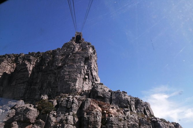 1 table mountaincape pointpenguins chapmans peak shared tour Table Mountain,Cape Point,Penguins& Chapmans Peak Shared Tour