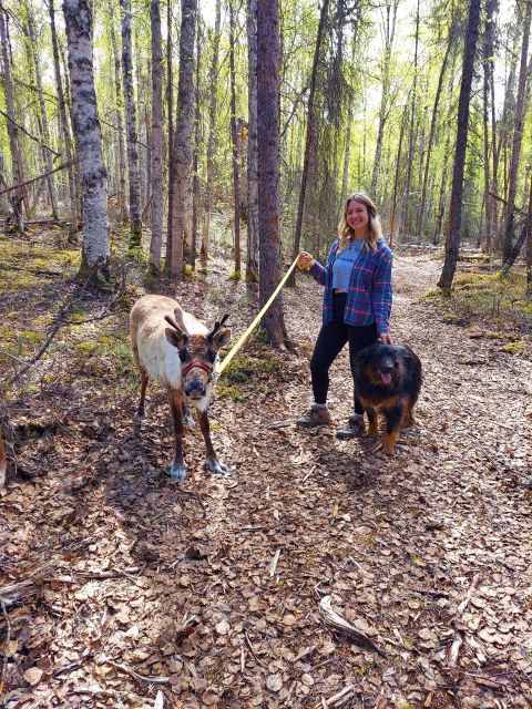 Talkeetna: A Walk in the Woods...with Reindeer! - Highlights