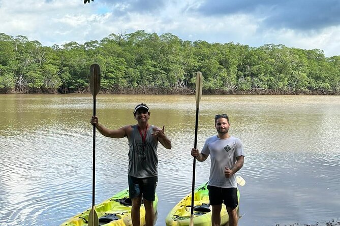 1 tamarindo mangrove forest national park kayaking Tamarindo Mangrove Forest National Park Kayaking