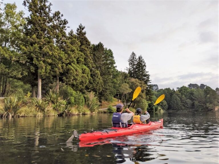 Tauranga: Evening Glow Worm Kayak Tour