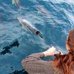 1 tauranga guided dolphin and wildlife watching cruise Tauranga: Guided Dolphin and Wildlife Watching Cruise