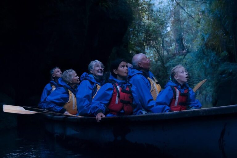 Tauranga: Guided Glowworm Tour in a Canoe