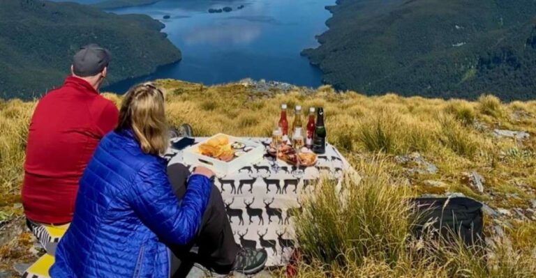 Te Anau: Milford, Dusky, and Doubtful Helicopter Flight