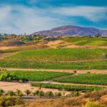 1 temeculas rancho california wine tour Temeculas Rancho California Wine Tour