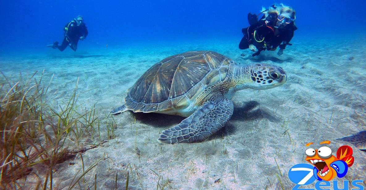 1 tenerife abades beach beginner diving Tenerife: Abades Beach Beginner Diving Experience