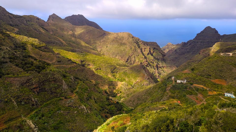 1 tenerife anaga mountains and laurel forest hiking tour 2 Tenerife: Anaga Mountains and Laurel Forest Hiking Tour
