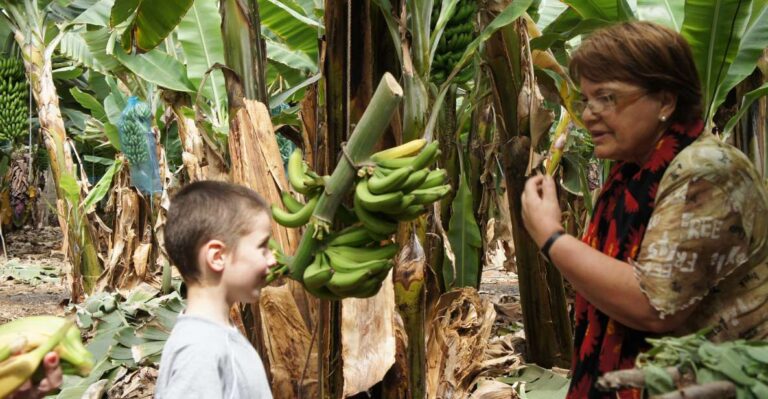 Tenerife: Finca Las Margaritas Banana Plantation Experience