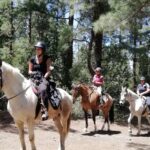 1 tenerife guided horseback riding tour to the lomo forest Tenerife: Guided Horseback Riding Tour to the Lomo Forest