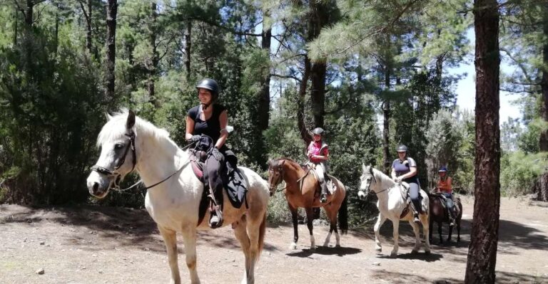 Tenerife: Guided Horseback Riding Tour to the Lomo Forest