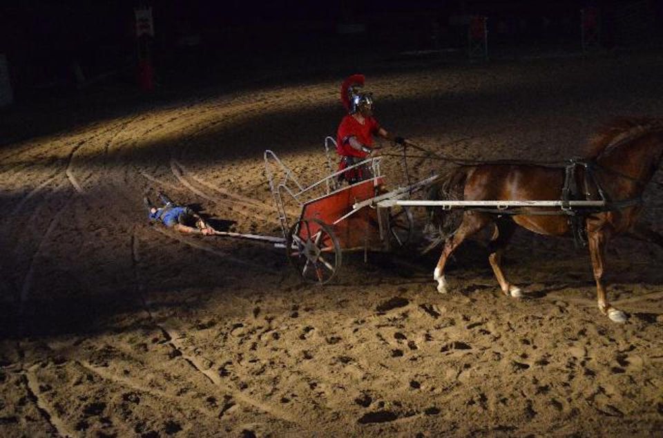 1 tenerife horse show entry ticket with optional dinner Tenerife : Horse Show Entry Ticket With Optional Dinner