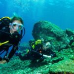 1 tenerife introductory dive for cruise ship passengers Tenerife: Introductory Dive for Cruise Ship Passengers