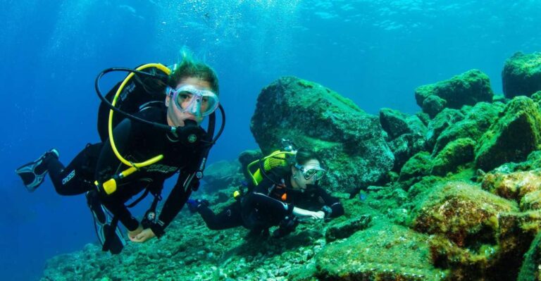 Tenerife: Introductory Dive for Cruise Ship Passengers