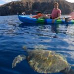 1 tenerife kayak and snorkel with turtles Tenerife: Kayak and Snorkel With Turtles