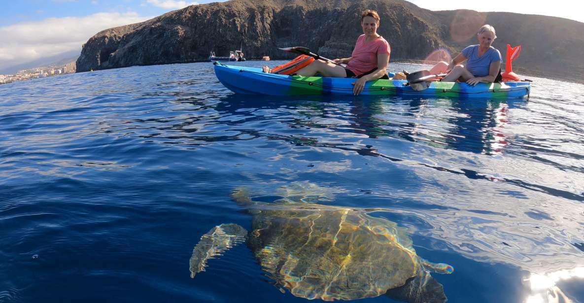 1 tenerife kayak and snorkel with turtles Tenerife: Kayak and Snorkel With Turtles