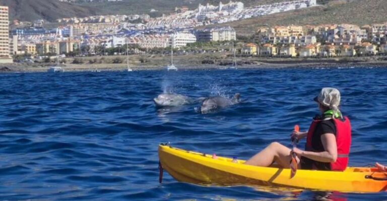 Tenerife: Kayak Safari and Sea Turtle Snorkeling