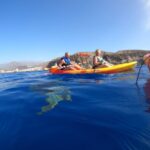 1 tenerife kayak safari with snorkeling all inclusive Tenerife: Kayak Safari With Snorkeling, All Inclusive
