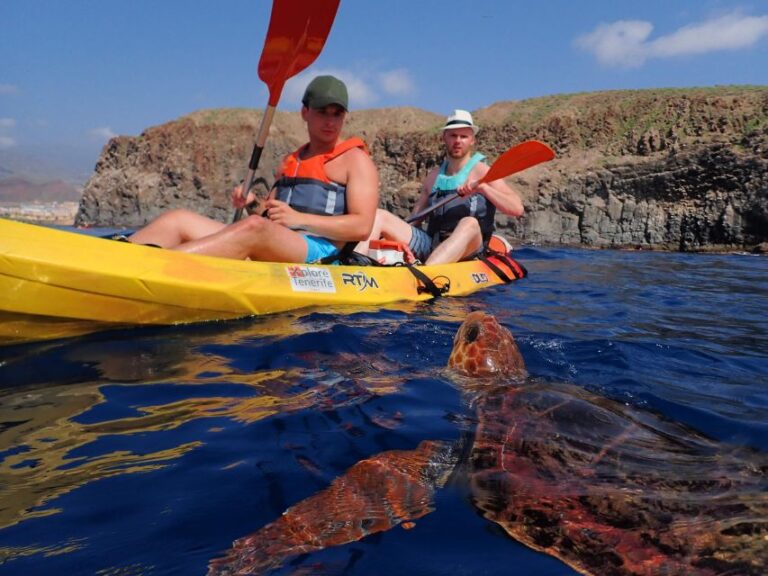 Tenerife: Kayaking and Snorkeling With Turtles