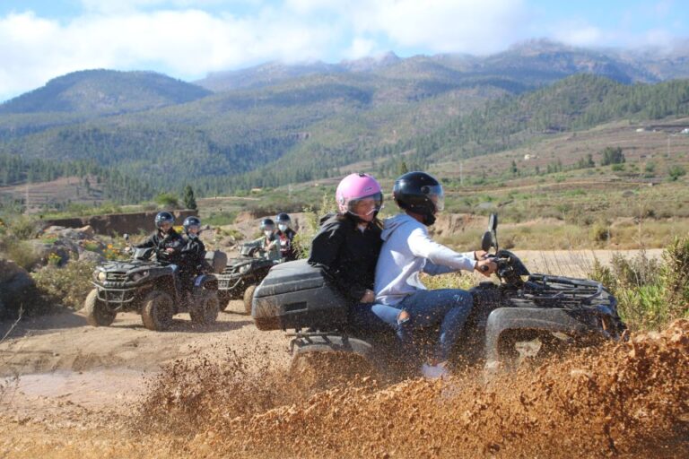 Tenerife: Panoramic Off-road Quad Bike Experience