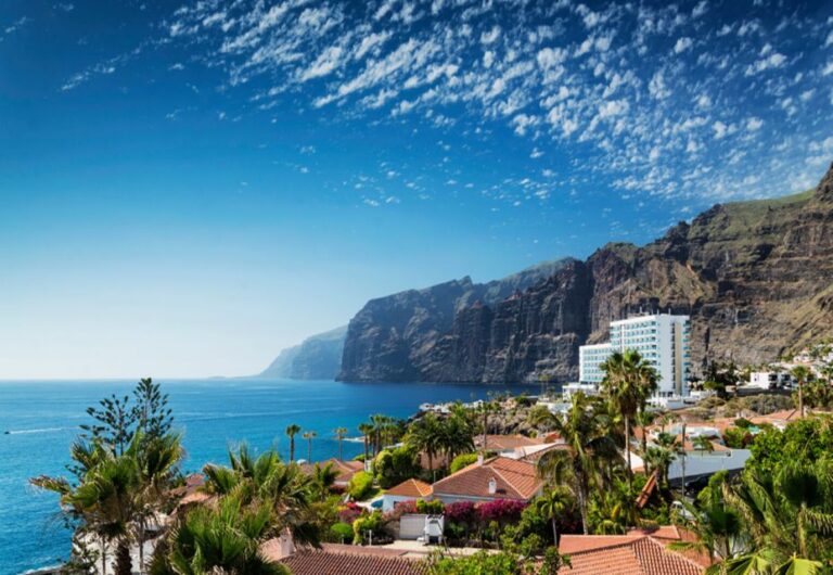 Tenerife: Private Day Tour of the Island With Hotel Pickup