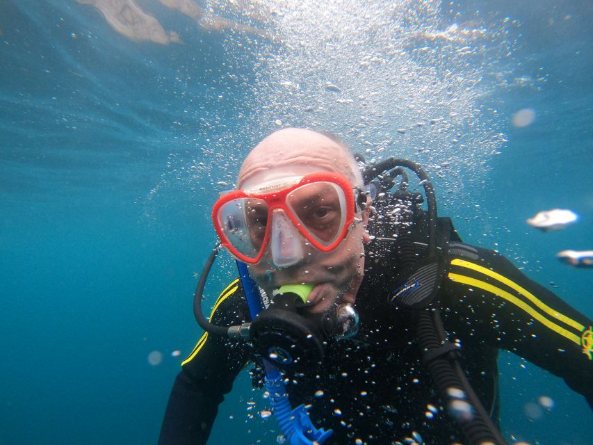 Tenerife: Puerto Colon Discover Scuba Diving Trip - Booking Information