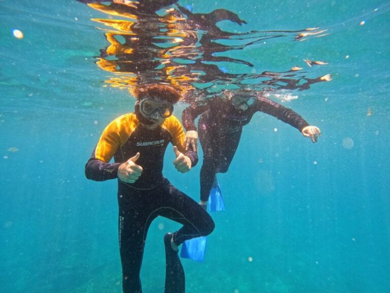 Tenerife: Puerto Colon Snorkel Safari by Speed Boat