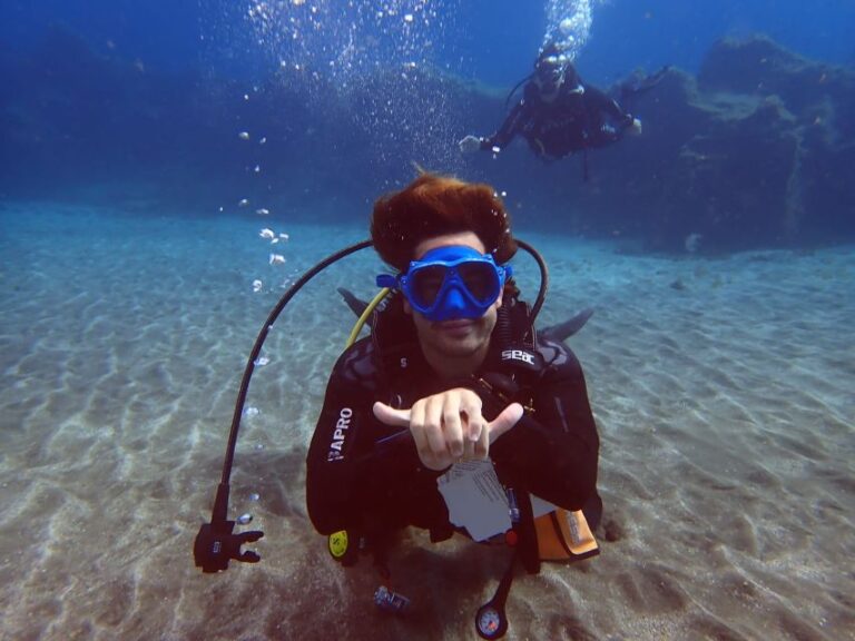 Tenerife: Scuba Diving Lesson and Abades Protected Area Dive