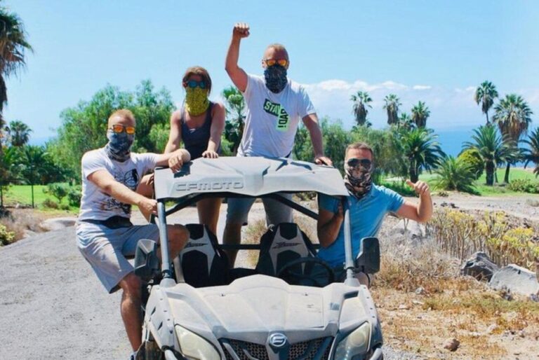 Tenerife: South Coast Buggy Tour With Off-Roading