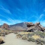 1 tenerife teide national park and masca shared tour south Tenerife: Teide National Park and Masca, Shared Tour (South)