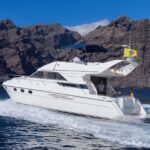 1 tenerife whales and snorkeling tour on a luxury yacht Tenerife: Whales and Snorkeling Tour on a Luxury Yacht