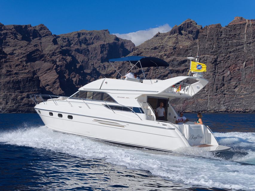 1 tenerife whales and snorkeling tour on a luxury yacht Tenerife: Whales and Snorkeling Tour on a Luxury Yacht
