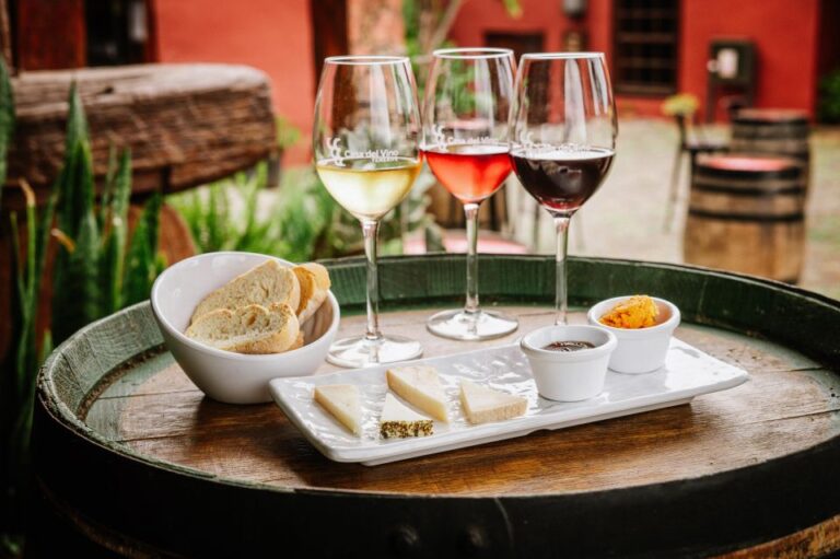Tenerife: Wine Museum Ticket With Local Wines & Food Tasting