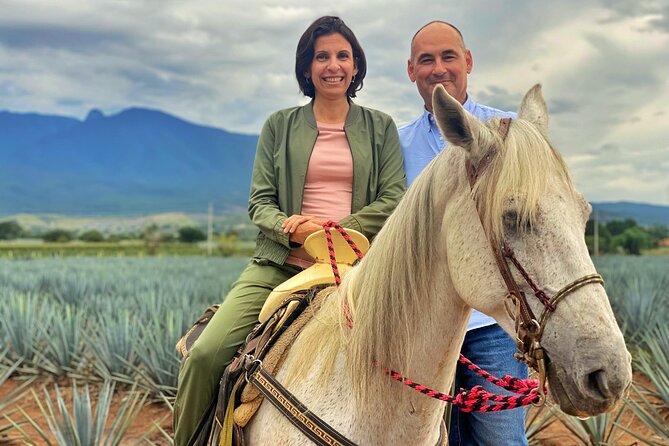 Tequila Tasting Experience and Lesson in Guadalajara