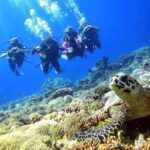 1 thai holidays divers package Thai Holidays (Divers Package)