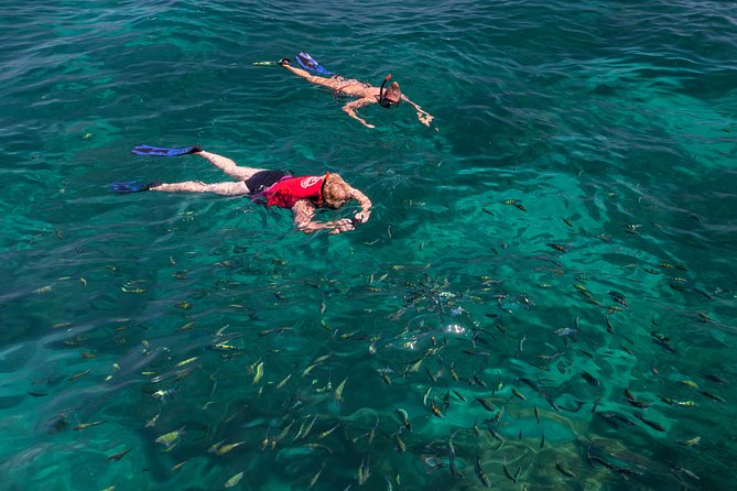 The Inviting Beauty of Phi Phi Islands