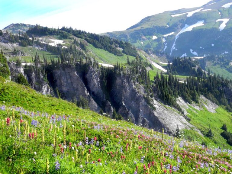 The Mount Rainier Majestic Trails Self-Guided Audio Tour