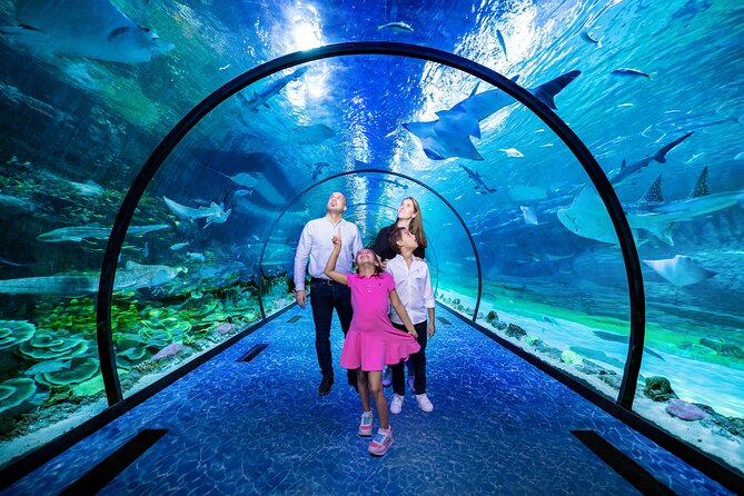 The National Aquarium Abu Dhabi Ticket
