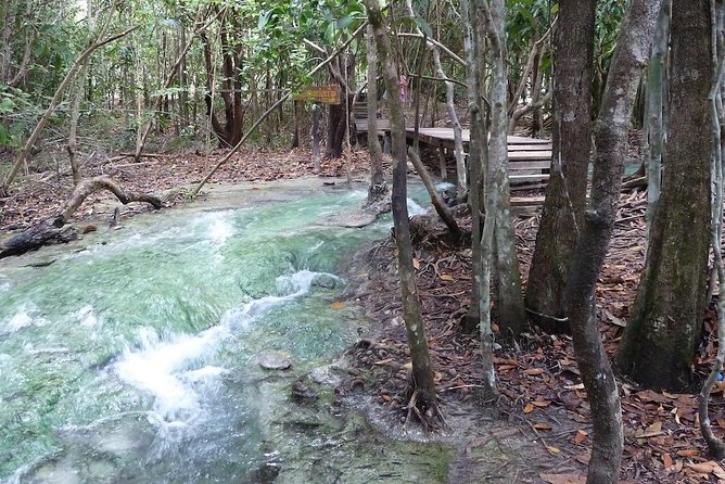 The Wonders of Thailands Last Lowland Rainforest