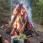 1 therapeutic temazcal harmony and rebirth in the forest Therapeutic Temazcal: Harmony and Rebirth in the Forest