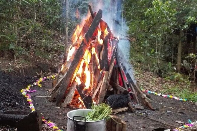 Therapeutic Temazcal: Harmony and Rebirth in the Forest