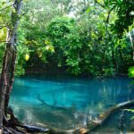 1 tiger cave and emerald pool jungle tour from krabi Tiger Cave and Emerald Pool Jungle Tour From Krabi