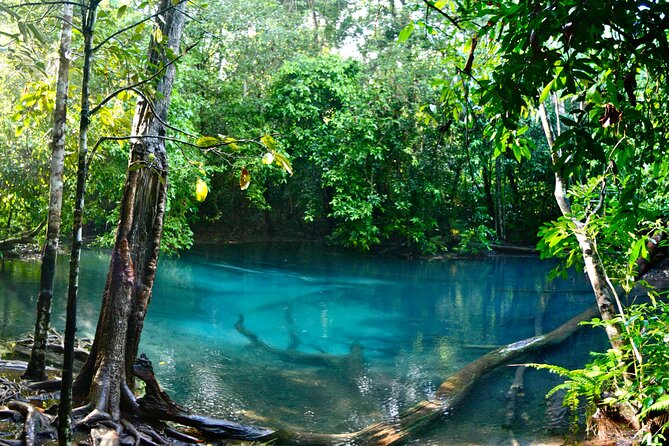 Tiger Cave and Emerald Pool Jungle Tour From Krabi