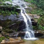 1 tijuca forest hiking tour including waterfalls Tijuca Forest Hiking Tour Including Waterfalls