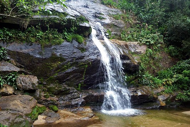 Tijuca Forest Hiking Tour Including Waterfalls