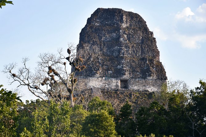 Tikal Full-Day Group Tour