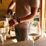 1 top 3 cape town wineries half day private tour Top 3 Cape Town Wineries Half Day Private Tour