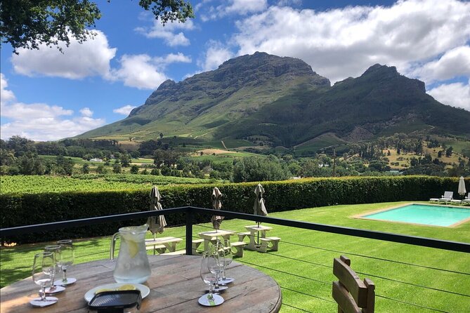 Top 5 Wineries in Cape Town Private Tour and Wine Tasting