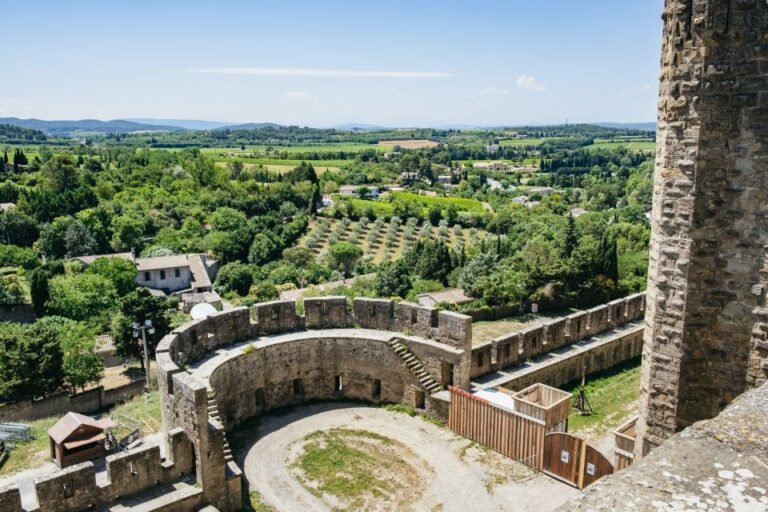 Toulouse: Carcassonne Day Trip by Coach With Comtal Castel