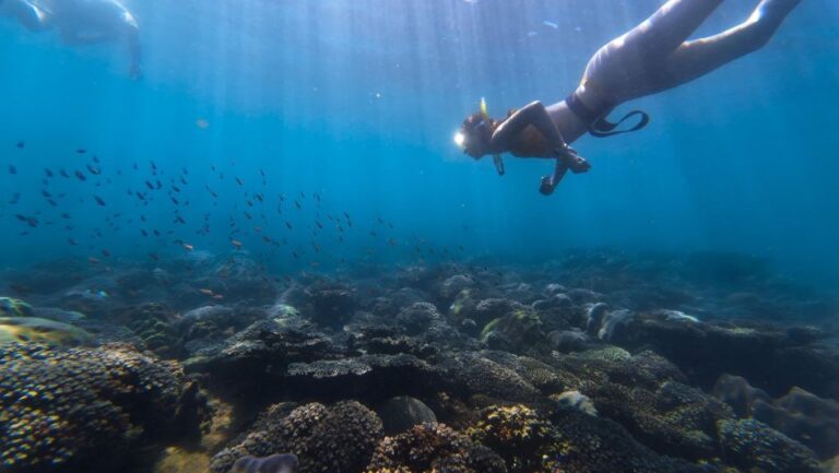 Tour Freediving Phu Quoc: Fascinating Free-Diving Moments